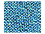 96 Light Blue Scale -Stiletto